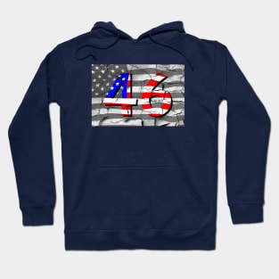 46th President Biden Fan Flag Hoodie